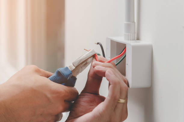 Best Electrical Safety Inspections  in La Villa, TX